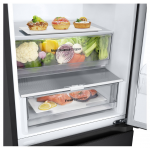 LG 344公升 雙門雪櫃 M333EP13 (下置式冷凍, 智能變頻, 霧黑色)